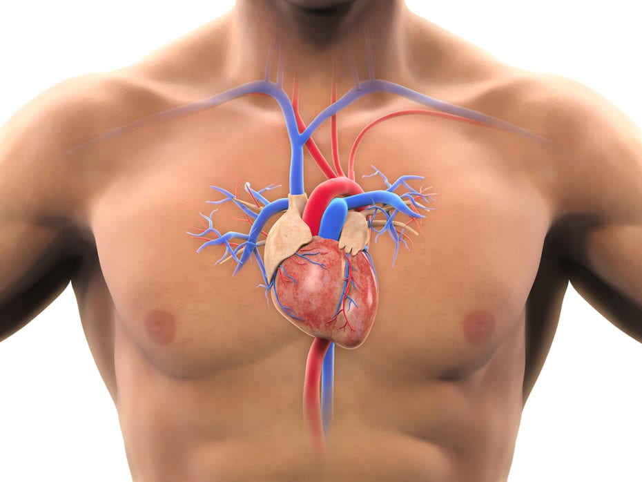 Heart Disease
